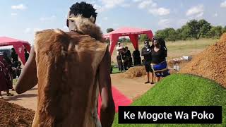 Mogote  Funeral Performance Highlights 2 [upl. by Uase584]