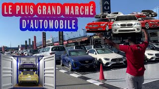 LE PLUS GRAND MARCHÉ DAUTOMOBILE A DUBAI [upl. by Brien]