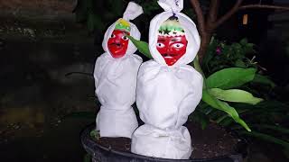 Seram Menemukan Pocong Malam Hari Ondel Ondel Seram Ondel Ondel Pocong Ondel2 Hantu Pocong Seram [upl. by Cotterell]