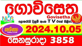 Govisetha 3858 20241005 Today Lottery Result අද ගොවිසෙත දිනුම් ප්‍රතිඵල nlb Lotherai dinum anka [upl. by Ecitsuj901]