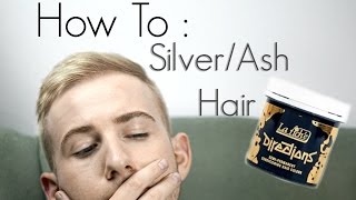 DIY  How To SilverAsh Toned Hair Colour  La riche directions [upl. by Gottlieb]