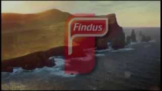 Three Pony Advert Findus 3 Horse Meat Scandal Parody Moonwalk pony dance to Findus factory [upl. by Mrots]