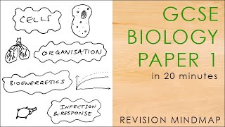 All of BIOLOGY PAPER 1 in 20 mins  GCSE Science Revision Mindmap 91 AQA [upl. by Lionello162]