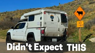 Anza Borrego Surprise Discovering the Unique Campluxe Cabover Camper [upl. by Cacilie]