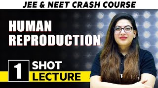 Human Reproduction  One Shot Lecture  CHAMPIONS  NEET CRASH COURSE 2022 [upl. by Valerye]