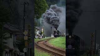 Kaliforniyadaki dünyanın en büyük buharlı treni [upl. by Lela]