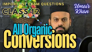 All Organic Chemistry Conversions in one shot for Class 12 [upl. by Schober]