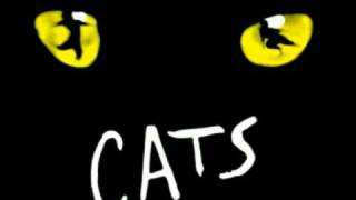 Cats  Musical versione italiana 9Momenti di felicità [upl. by Orsa625]