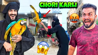 USAMA KA 4 LAKH KA PARROT CHORI KARLI🤣  MISHKAT KHAN VLOG [upl. by Nurat312]