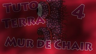 Tutoterra Épisode 4  Comment détruire le mur de chair [upl. by Weiser]