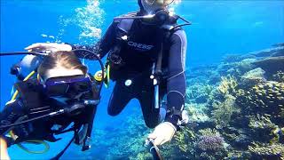 Introduction dive in Hurghada  Egypt  Intro diving in Hurghada [upl. by Eudo]