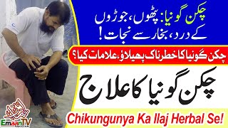 Chikungunya Ka Ilaj  Chikungunya Ki Bimari Ka Ilaj  Chikungunya Prevention amp Treatment [upl. by Htrahddis399]