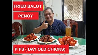 Fried Balot Penoy at Pips  Day old chicks [upl. by Adihaj]