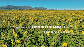 What makes the Eastern Free State lekker  Episode 1 Updated [upl. by Elyrrad]