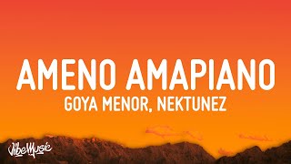 Goya Menor Nektunez – Ameno Amapiano Remix you want to bamba you want to chill with the big boys [upl. by Najram]