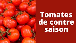 Investir ou entreprendre en agriculture en Afrique  la tomate de contre saison 210 [upl. by Nahor560]