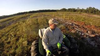 Spraying Herbicide in Longleaf Pine Restoration Site [upl. by Magee304]