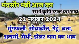 मंदसौर मंडी आज का सभी कृषि उपज का भाव 22 नवंबर 2024  Mandsaur Mandi ka bhav mandsaurmandibhav [upl. by Trev989]