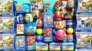 HUGE PAW PATROL SURPRISE TOYS 🐶 Unboxing Mystery Boxes Blind Bags Satisfying ASMR Collection [upl. by Eiryt]