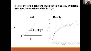 EXP3204 Psychophysics Part 3 [upl. by Hobie175]