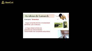 Ideias evolucionistas  Lamarckismo [upl. by Aonehc974]