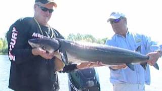 37 Menominee River Sturgeon [upl. by Einahpetse]