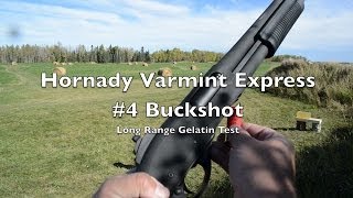 Long Range Shotgun Test 12 Gauge 4 Buck  Hornady Varmint Express [upl. by Waxman]