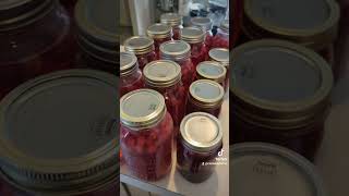 Its cranberry time canning canningtok canningandpreserving foodpreservation [upl. by Aramat]