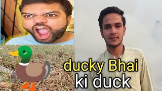 Ducky Bhai sa duck ly li  Price 2lakh [upl. by Gaillard147]