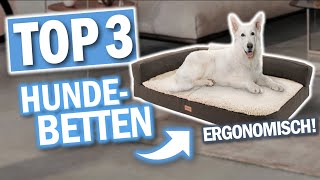 Die besten HUNDEBETTEN 2024  Beste Hundebetten Hundesofas [upl. by Ermanno]