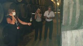 Sherry wine bodega tour [upl. by Lukasz240]