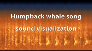 Humpback Whale Song  Sound visualization [upl. by Aeiram]