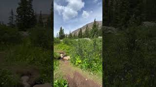 Colorado Mountains Crossing Creek [upl. by Launamme358]