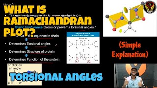 What is the Torsional Angle  Ramachandran Plot Overview  Tamil  Proteins  ThiNK Biology [upl. by Atidnan]