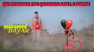 maxamed dayax  QALBIGAYGA IYO QASANAD AAN LA FURIN come soon OFFICIAL VIDEO MUSIC AUDIO 2024 [upl. by Neenad291]