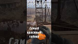 Свинцовый контейнер для ПСЗ9И quotСоколquot и самое красивое место Рыжего леса  STALKER 2 [upl. by Gerhardt989]