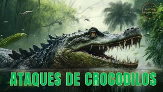 ATAQUES DE CROCODILOS [upl. by Nnomae597]