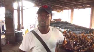 tanger the gambia fish market [upl. by Eneleahs]