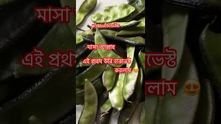 first time harvesting hyacinth beans 🫘 shortvideo youtubevideos harvest hyacinthbeans uk [upl. by Comstock]