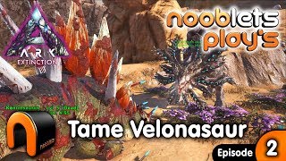 ARK EXTINCTION Taming A Velonasaur Nooblets Plays EP3 [upl. by Enyamart674]