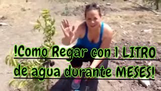 Cómo regar tus plantas con un litro de agua durante meses FACIL RAPIDO ECONOMICO RIEGO SOLAR [upl. by Aselehc]