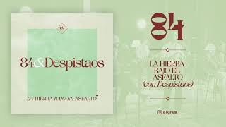 84  La hierba bajo el asfalto feat Despistaos Official Audio [upl. by Airednaxela]