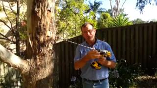 Termite Nest Treatment [upl. by Konrad843]