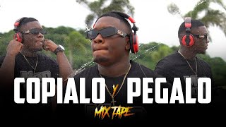 COPIALO Y PEGALO MIXTAPE djvinsc3 MIX DE PLENAS NUEVAS 2023 [upl. by Maziar75]