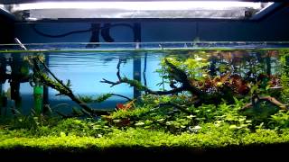 ADA 60F [upl. by Eniawd]