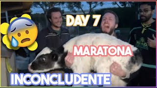 MARATONA INCONCLUDENTE  Best Clip  GIORNO 7 Dario Moccia Twitch [upl. by Neehsas]