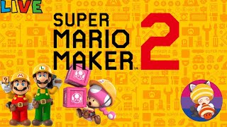 Super Mario Maker 2 Expert ChallengeViewer Levels amp Worlds 69 [upl. by Negrom]