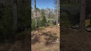 Mulching underbrush with the Deere 50g [upl. by Gladys]