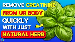 Top 6 BEST HERBS To LOWER CREATININE Effectively  Health Solutions [upl. by Laurence]