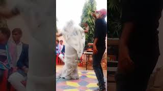 Official Praveen Dance Video Dj Pe Bhabhi Kyo Sharma gi  lokesh kumar rasiyaviralshort [upl. by Bilek327]